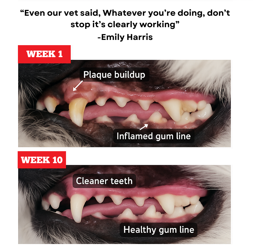 Himalayan Yak Chew (SMALL)