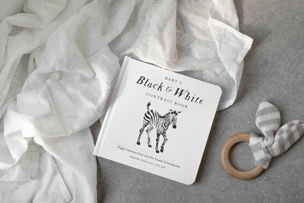 Paige Tate & Co. - Black and White Contrast Book - Ages 0–12 Months