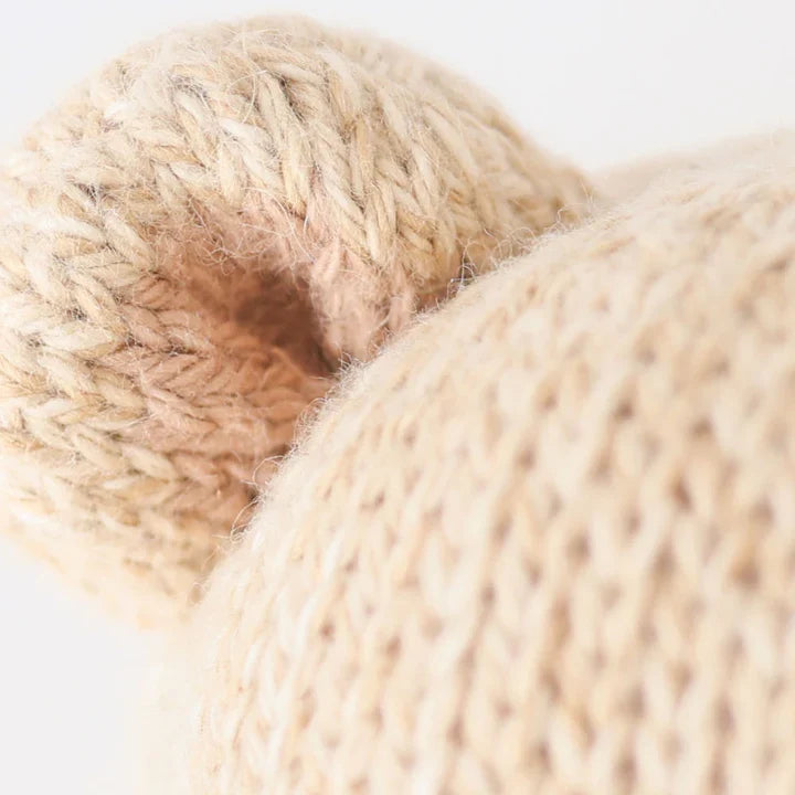 Baby honey bear | Cuddle + Kind