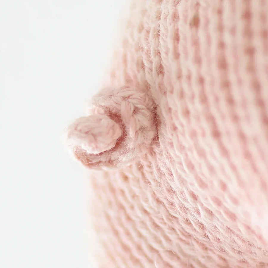 Baby piglet | Cuddle + Kind