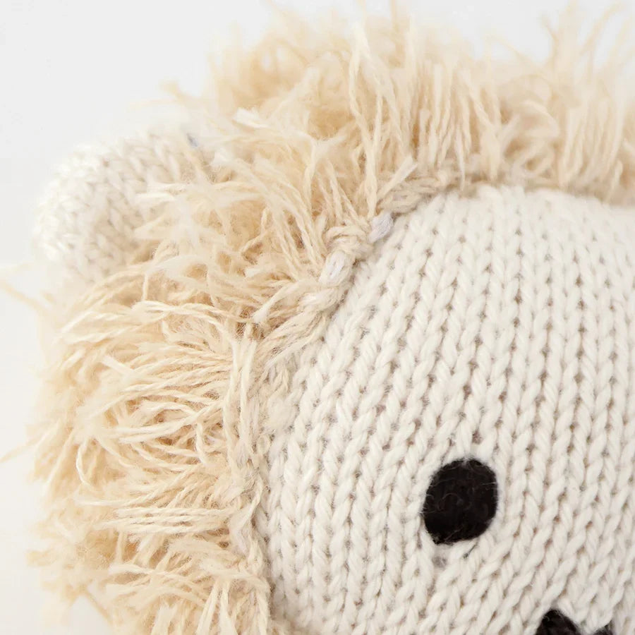 Baby lion | Cuddle + Kind
