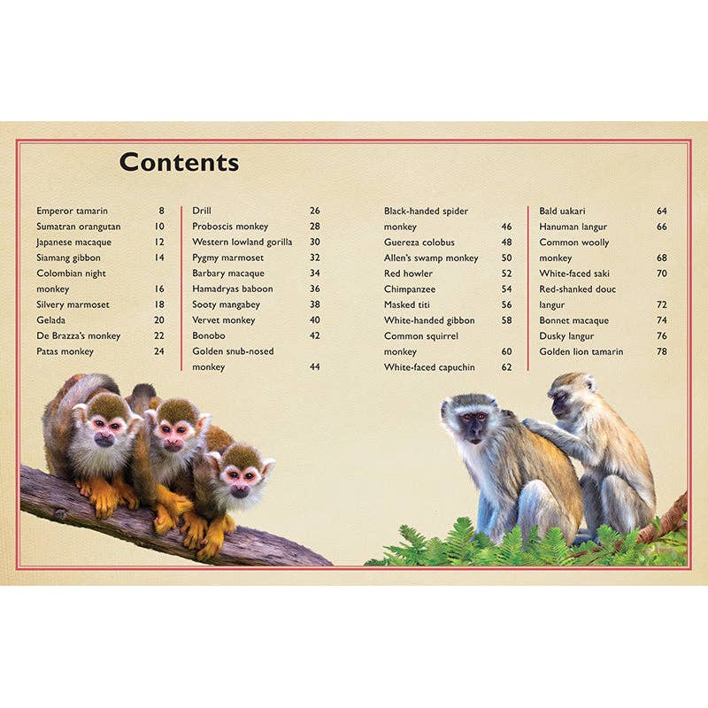 Insight Editions - The Magnificent Book of Monkeys and Apes - Ages 6+