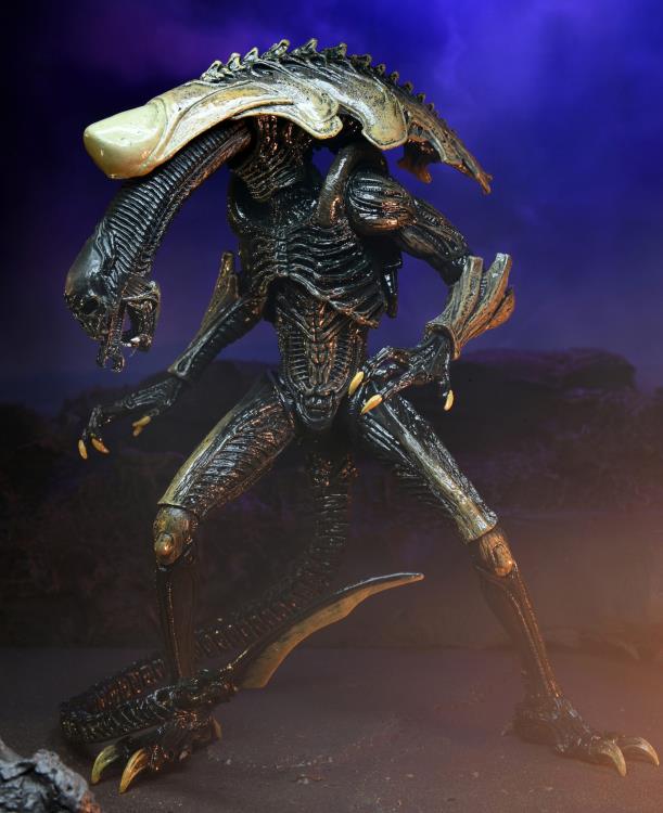 Neca - Alien vs. Predator Chrysalis (Movie Deco) Figure