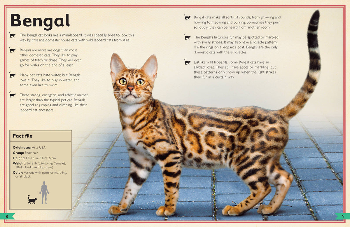 Insight Editions - The Magnificent Book of Cats - Ages 6+
