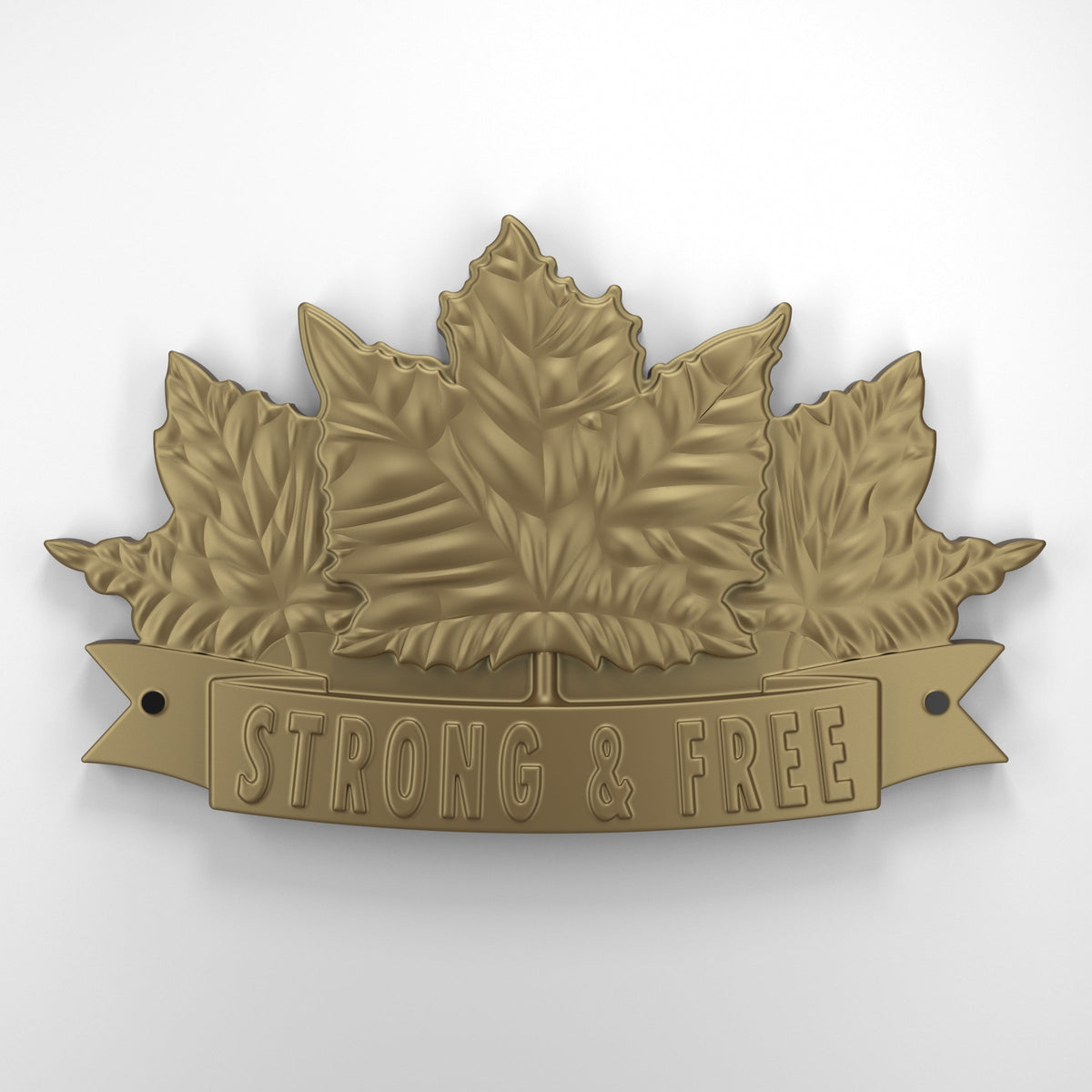 Strong and free • Plaque [1729]