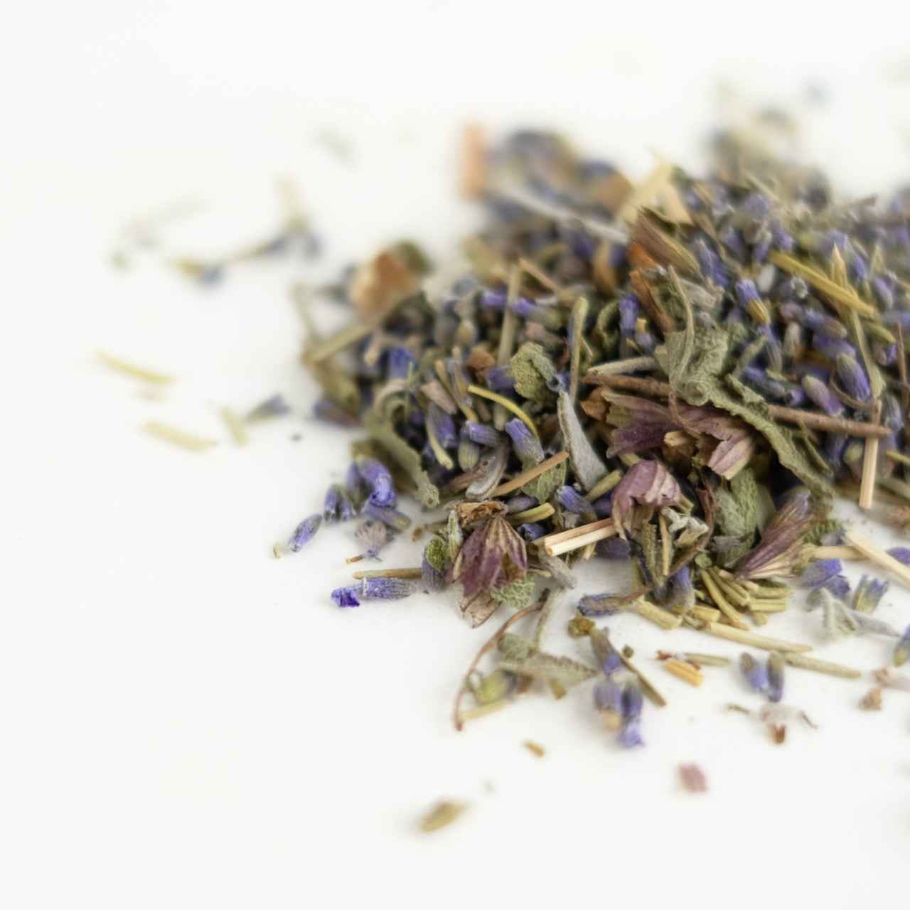 SPIRIT OF WISDOM // nootropic tonic