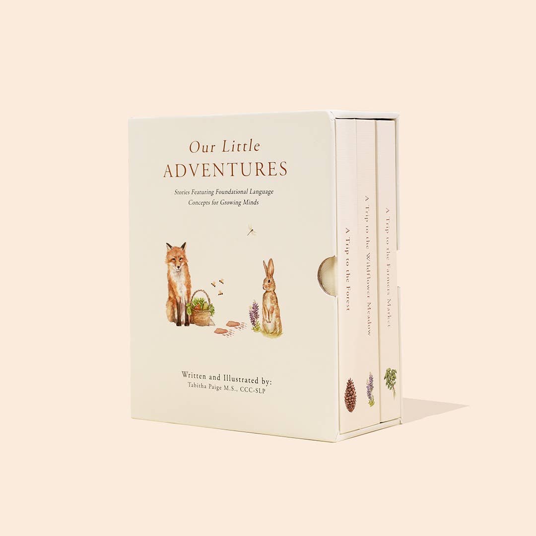Paige Tate & Co. - Our Little Adventures Box Set (3 Board Books) - Ages 1+