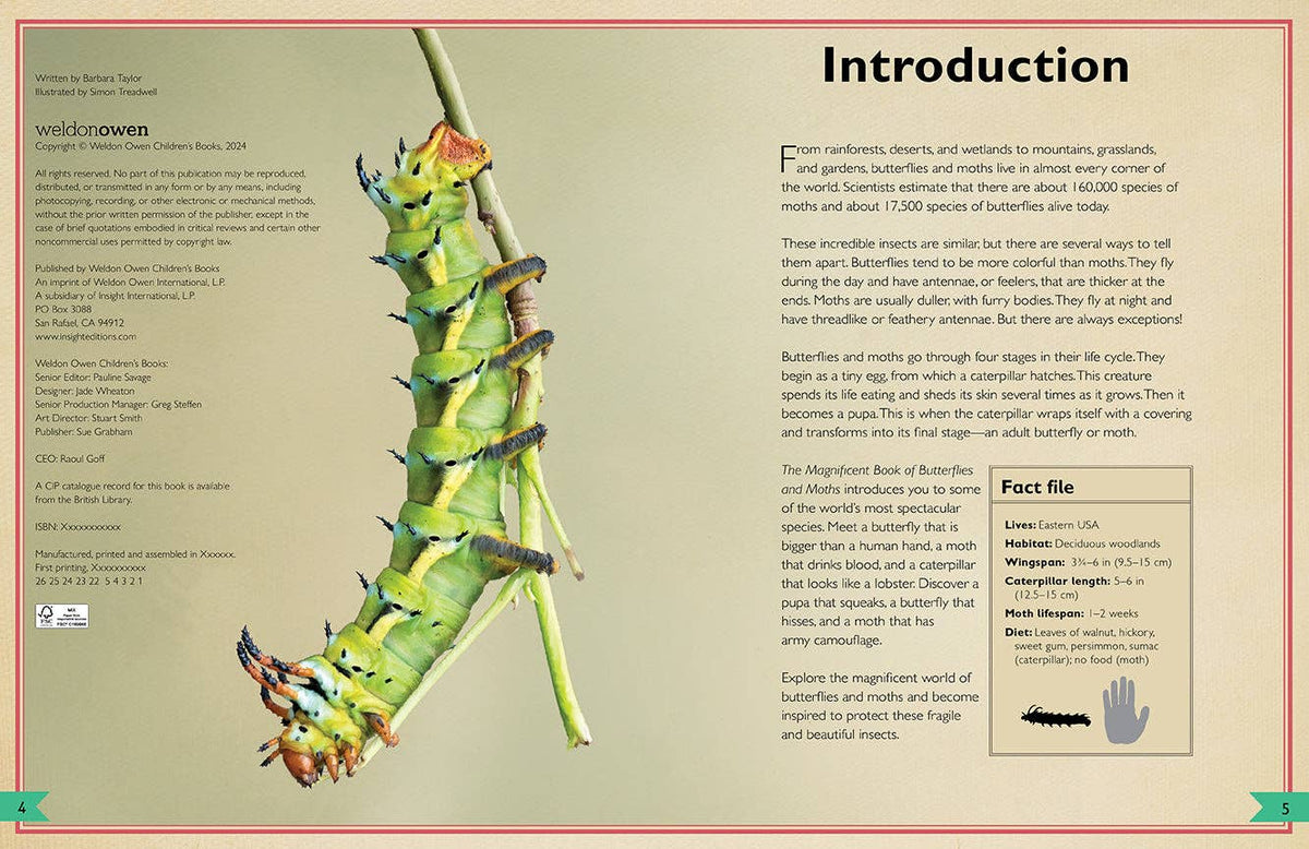 Insight Editions - The Magnificent Book of Butterflies & Moths - Ages 6+