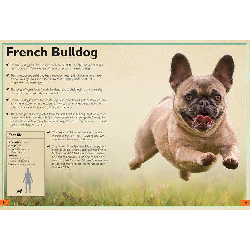 Insight Editions - The Magnificent Book of Dogs: Super-Sized - Ages 6+