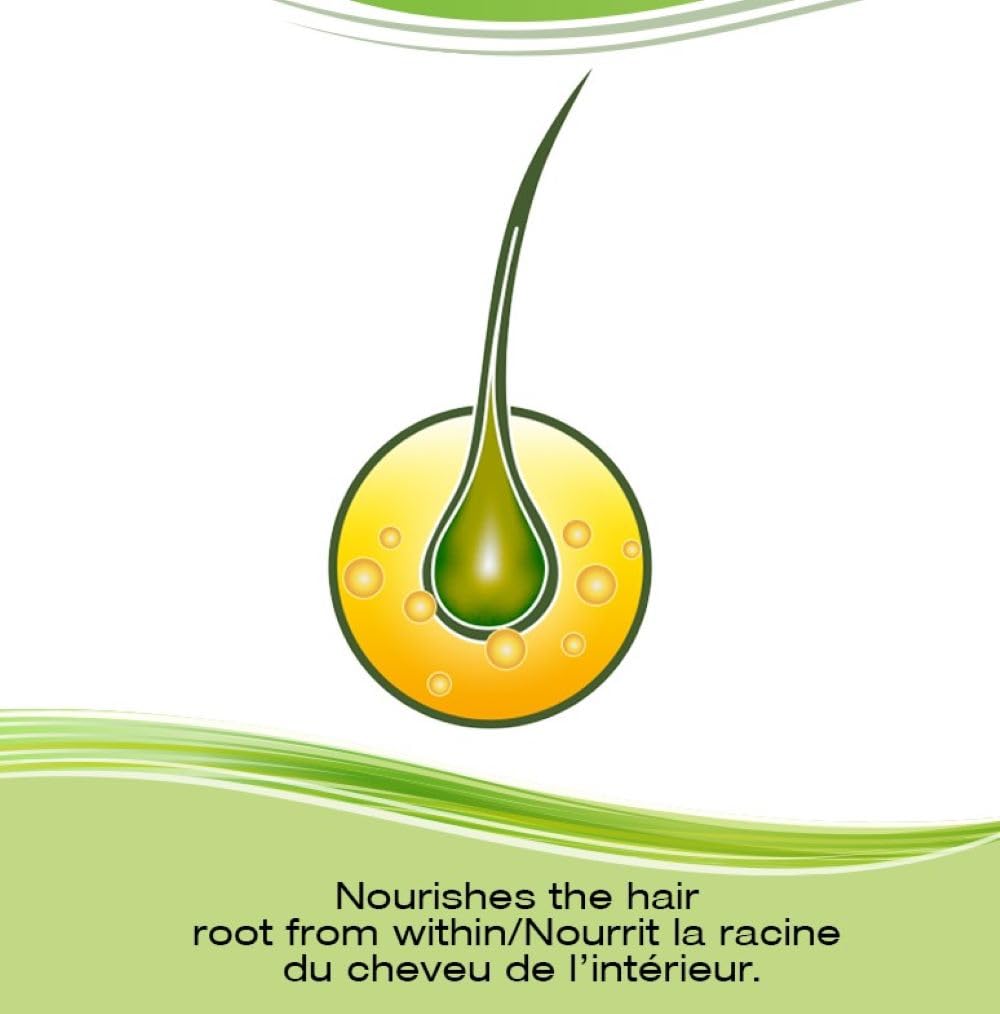 Priorin Hair Growth Vitamins With Biotin - Vitamins To Stimulate For Men And Women, Decrease Of Hair Loss After Washing, Contains Biotin For Hair Growth, 60 Count, 1 Month Supply 🍁 All In One Marketplace Canada