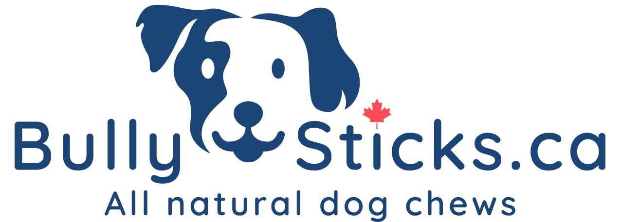 ODOURFREE 12" Standard Bully Sticks for Dogs (10 Pack) Dental Chew - Rawhide Free - Supports Dental Hygiene - Single Beef Ingredient - Consistent Size - Canadian Company 🍁 All In One Marketplace Canada