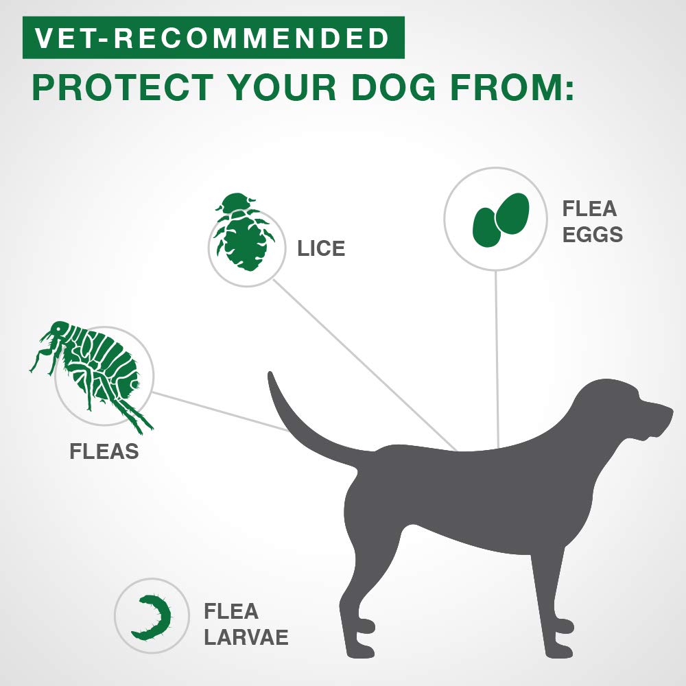 Advantage II - Flea Protection - Large Dog - Vet Recommended - 2-pack 🍁 All In One Marketplace Canada