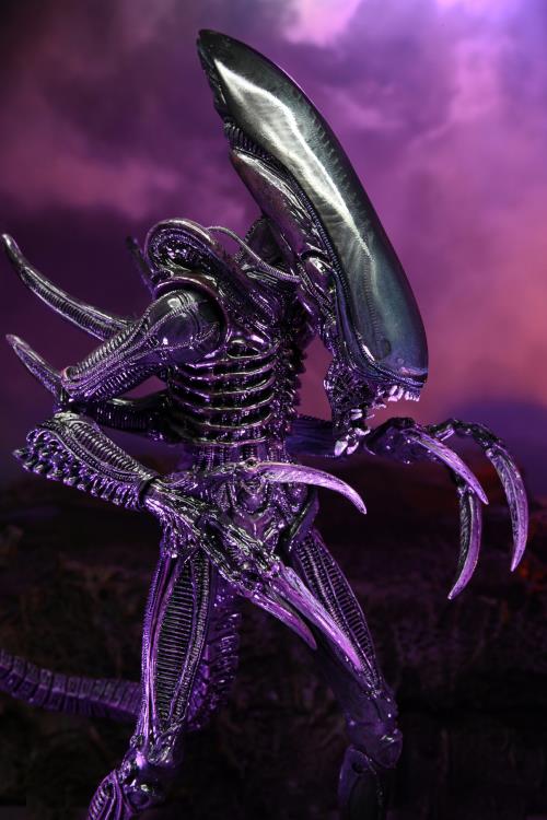 Neca - Alien vs. Predator Razor Claws - Movie Deco