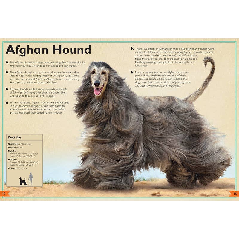 Insight Editions - The Magnificent Book of Dogs: Super-Sized - Ages 6+