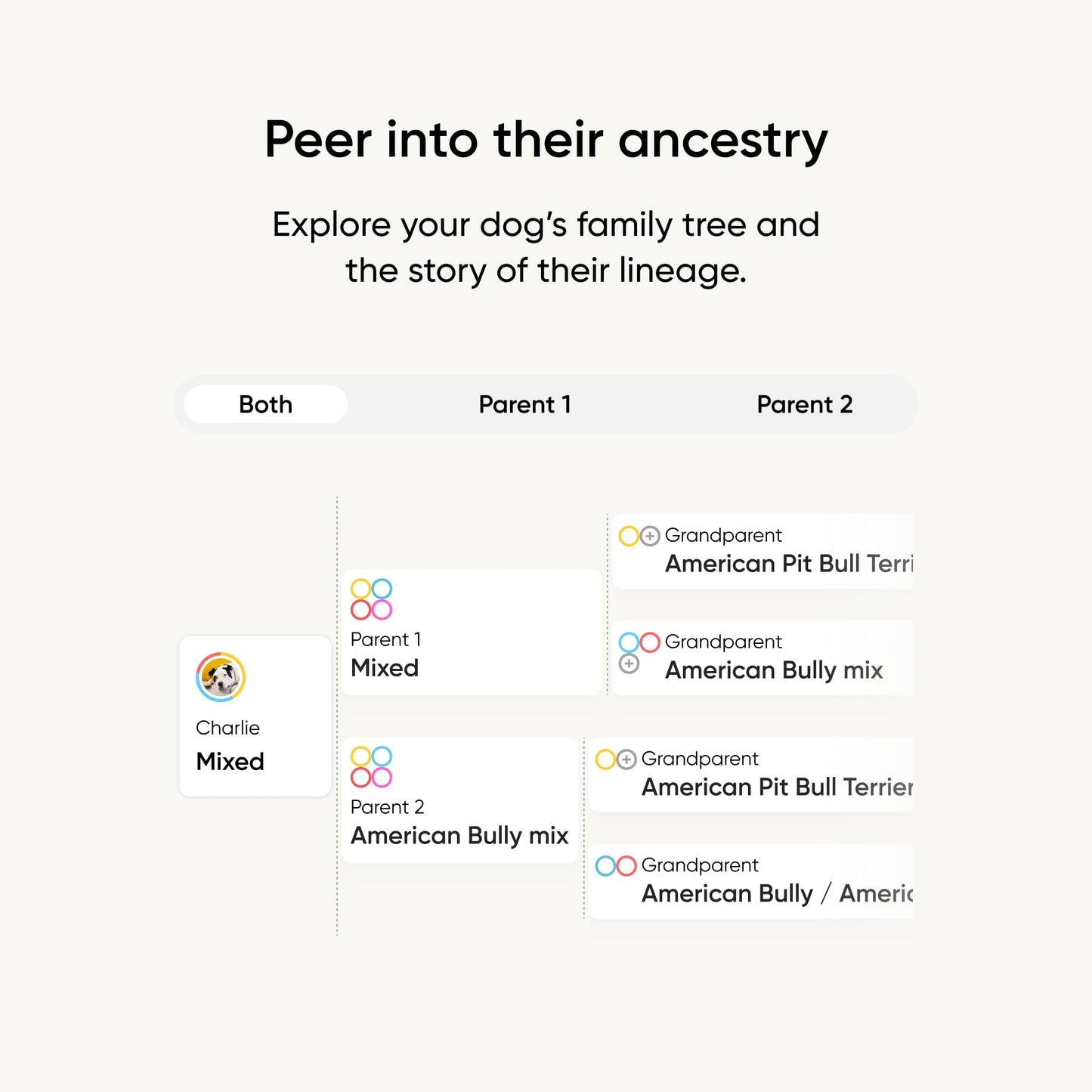 Embark Breed Identification Kit Most Accurate Dog DNA Test Test 350+ Dog Breeds Breed ID Kit with Ancestry & Family Tree 🍁 All In One Marketplace Canada
