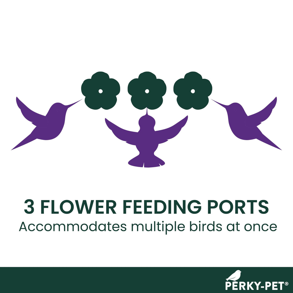 Perky-Pet 8-Ounce Window Mount Hummingbird Feeder 217 🍁 All In One Marketplace Canada