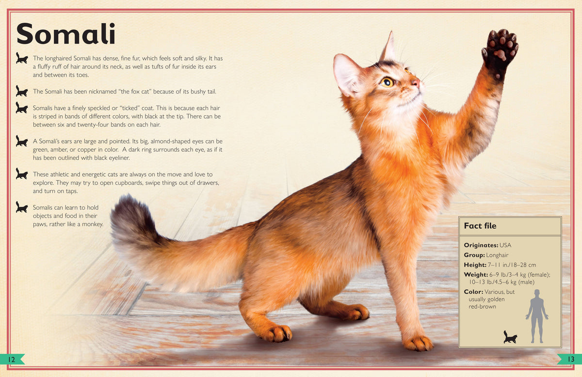 Insight Editions - The Magnificent Book of Cats - Ages 6+