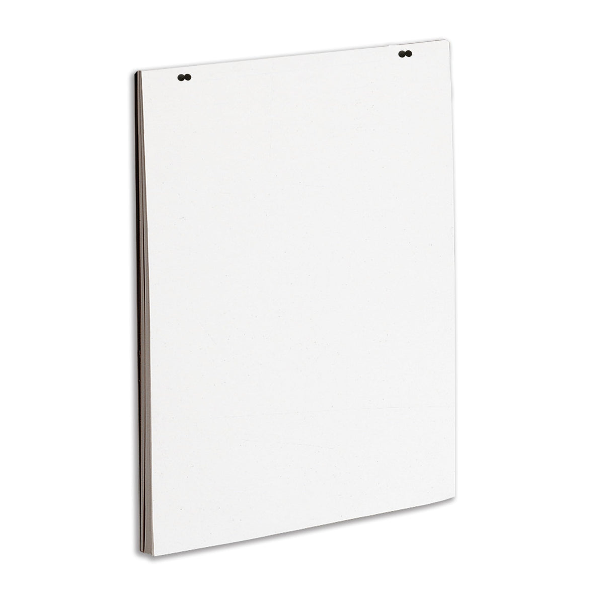 Quartet Newsprint Easel Pad, 24" x 36", 50 Sheets/Pad, Great for Meetings, Teachers, and Students (3413889603) 🍁 All In One Marketplace Canada