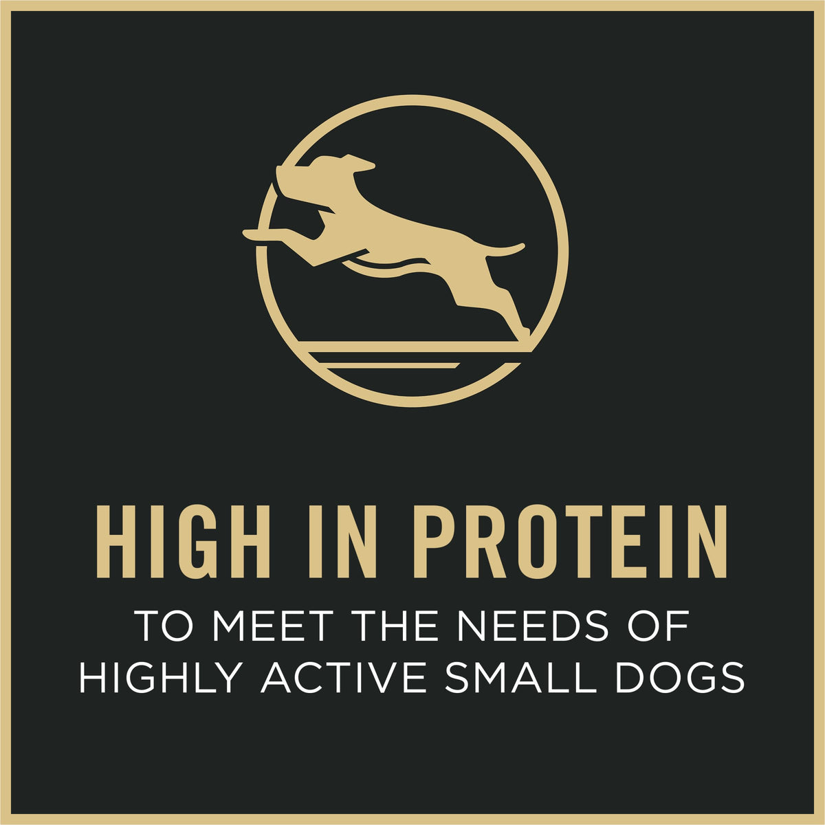 Purina Pro Plan Dry Dog Food, Specialized Small Breed Chicken & Rice - 8.16 kg Bag (1 Pack) 🍁 All In One Marketplace Canada