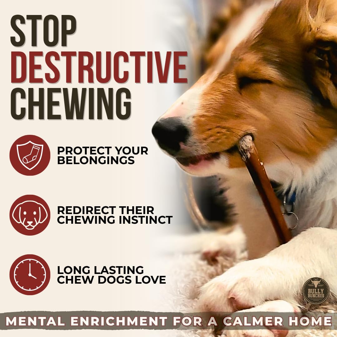 Bully Bunches Premium (6" Standard - 10 Pack) Odour-Free Bully Sticks - Small Dogs & Puppies - Consistently Sized, Long Lasting Chew Bones - All Natural & Single Ingredient, Beef Dog Treat, No Rawhide 🍁 All In One Marketplace Canada