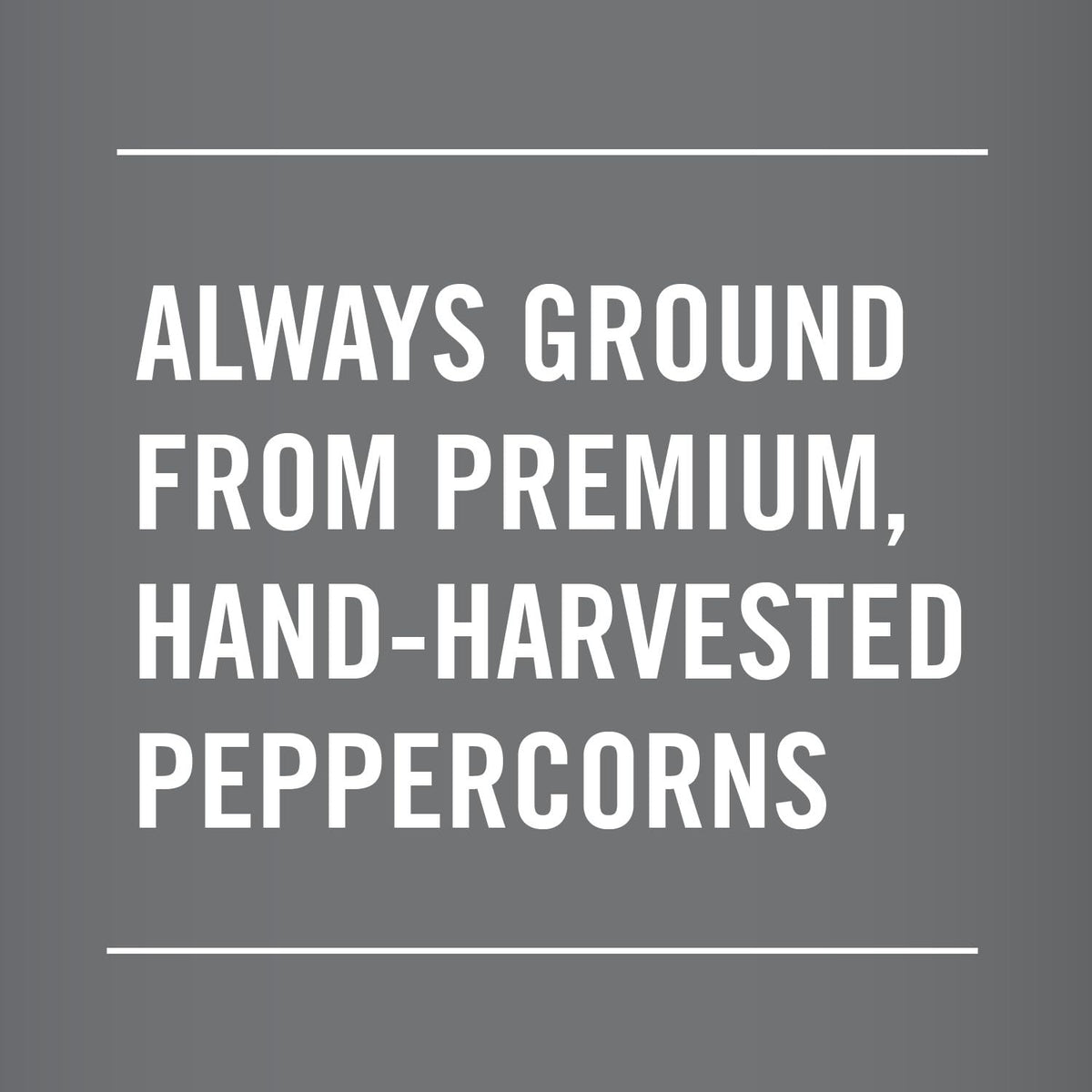Club House Herbs & Spices, Restaurant Grind Black Pepper, 500 g 🍁 All In One Marketplace Canada