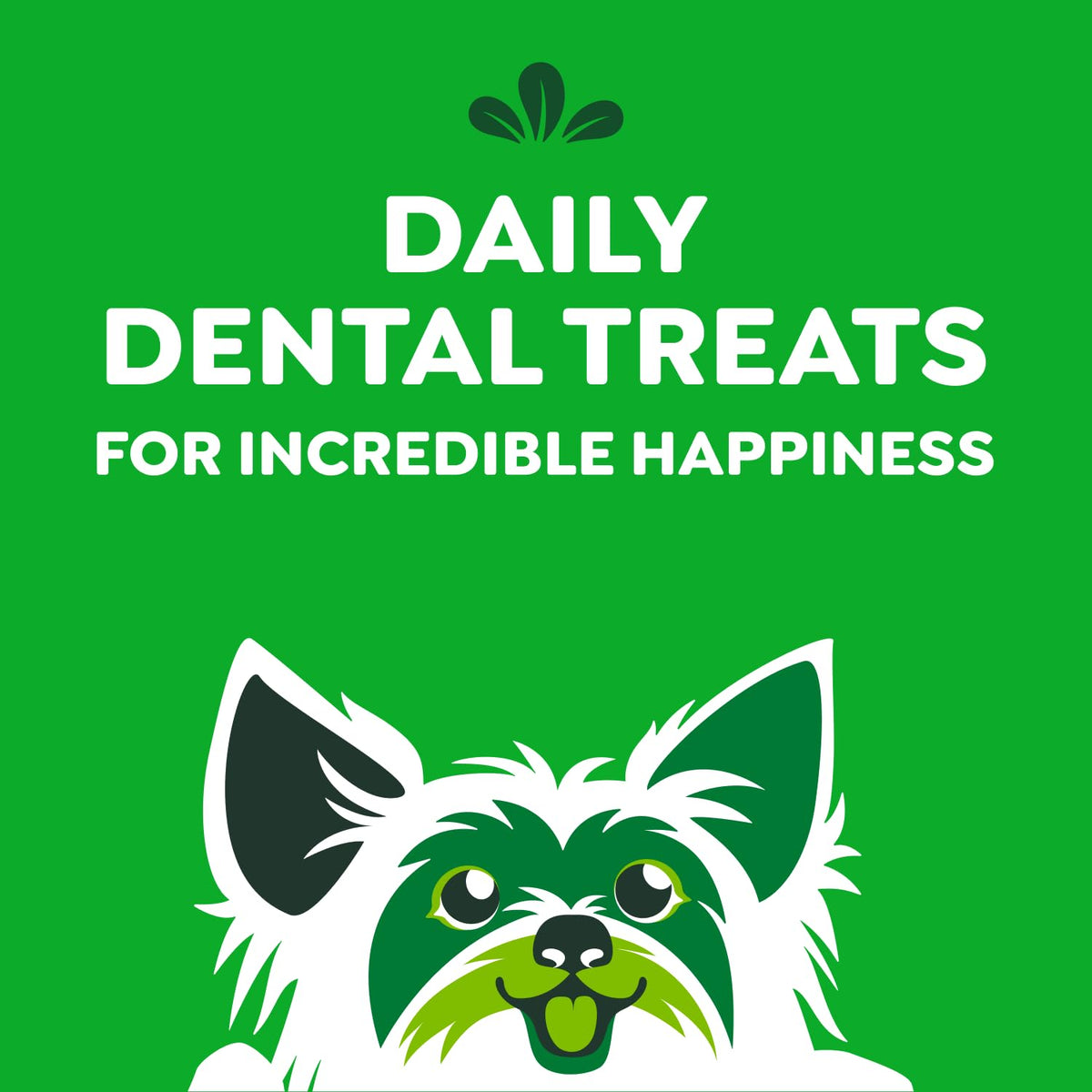 GREENIES Dog Treats Fresh Teenie Natural Dental Care, (43 Treats) 12oz. Pack 🍁 All In One Marketplace Canada