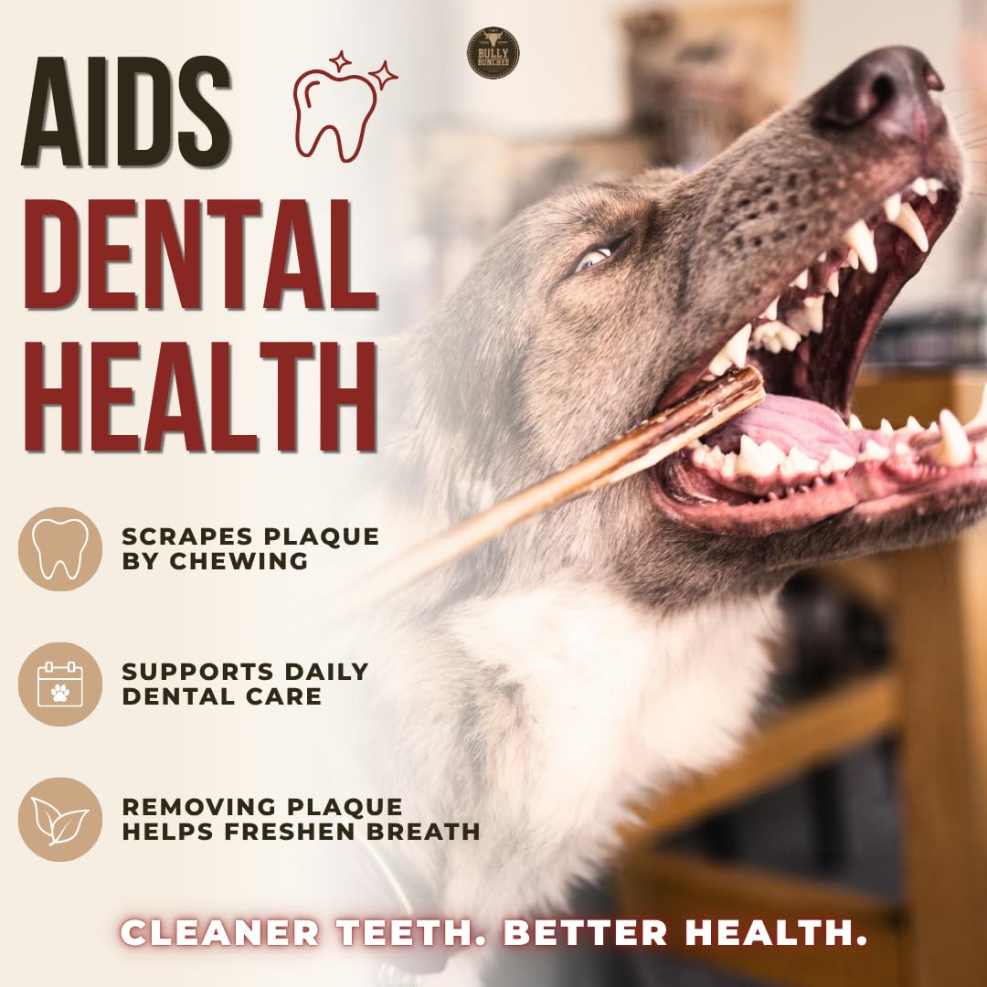 Bully Bunches Premium (6" Standard - 10 Pack) Odour-Free Bully Sticks - Small Dogs & Puppies - Consistently Sized, Long Lasting Chew Bones - All Natural & Single Ingredient, Beef Dog Treat, No Rawhide 🍁 All In One Marketplace Canada