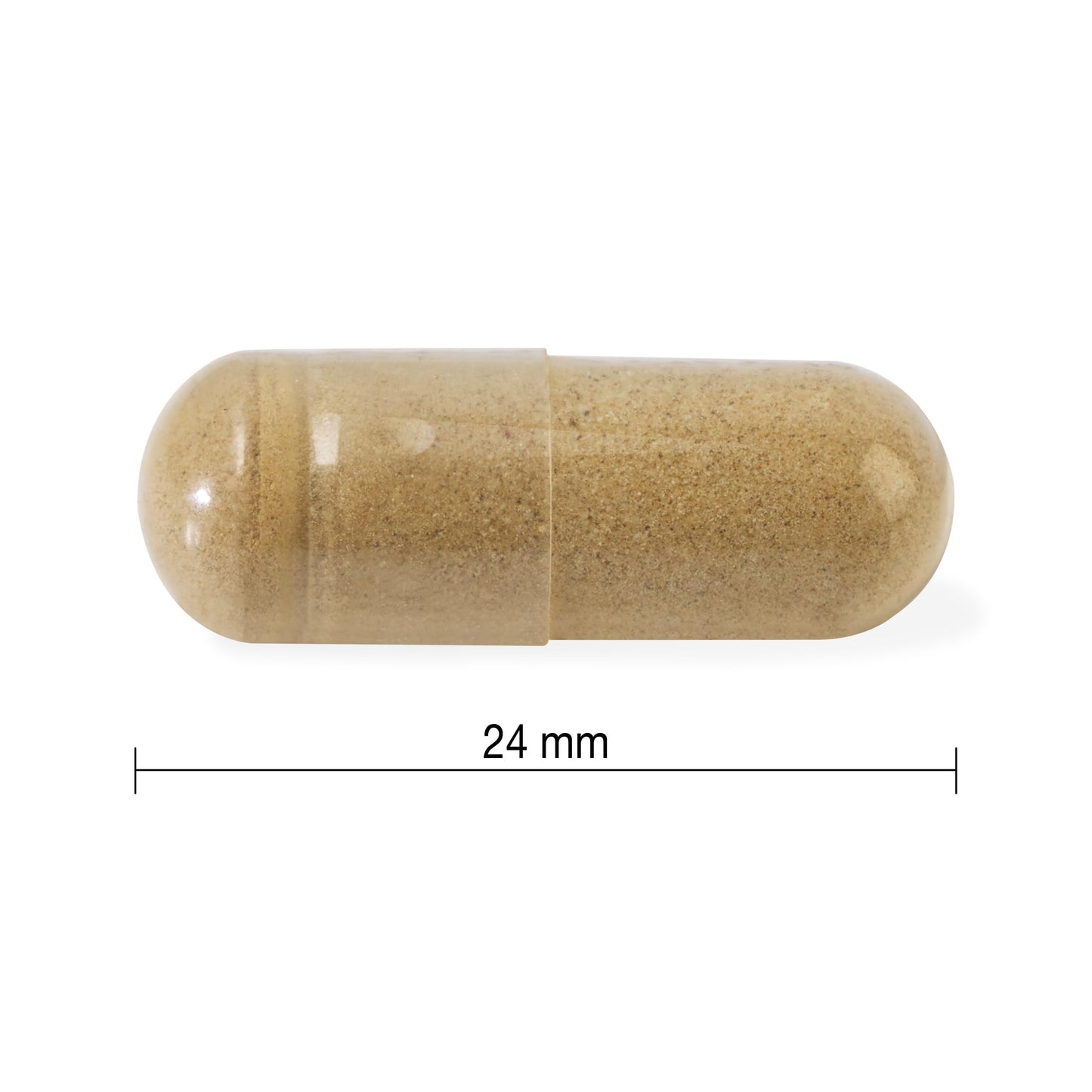 Jamieson High-Potency Ashwagandha 6,000 mg, Increases Resistance to Stress, Adaptogen, and Enhances Memory. Non-GMO, Vegetarian, Gluten-Free, Only One Per Day, Value Size, 100 Capsules 🍁 All In One Marketplace Canada