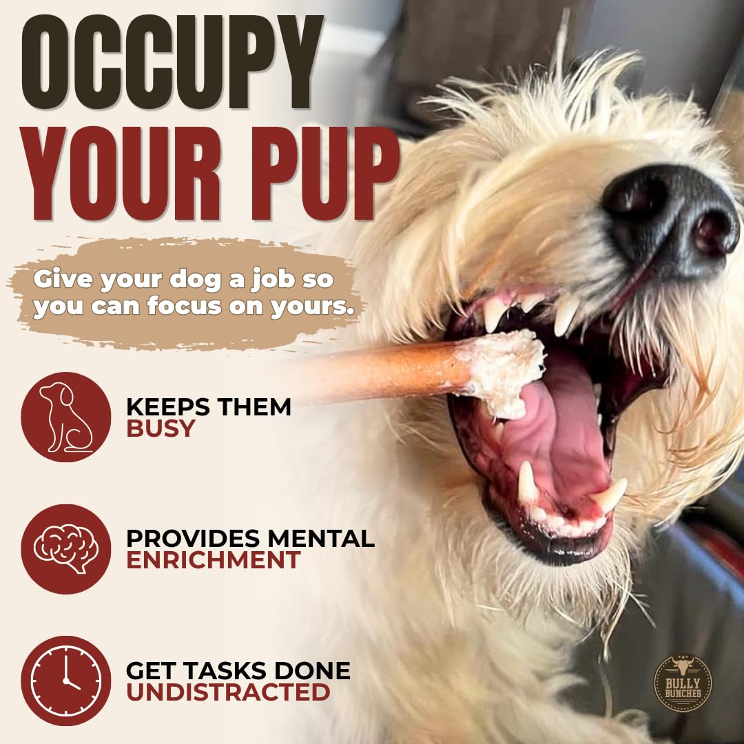 Bully Bunches Premium (6" Standard - 10 Pack) Odour-Free Bully Sticks - Small Dogs & Puppies - Consistently Sized, Long Lasting Chew Bones - All Natural & Single Ingredient, Beef Dog Treat, No Rawhide 🍁 All In One Marketplace Canada