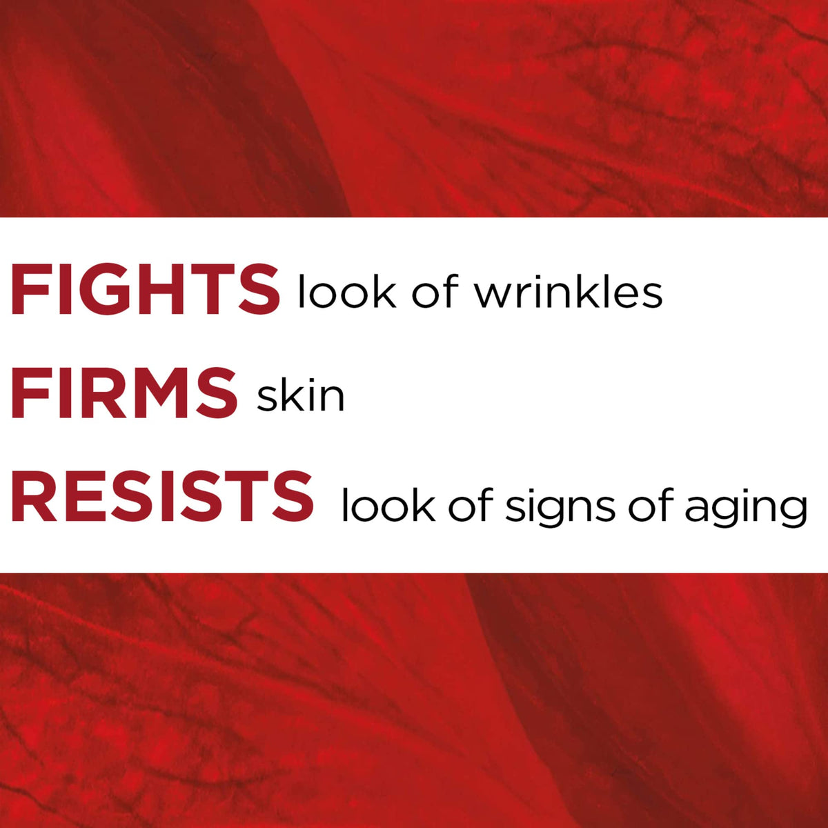 L'Oréal Paris SPF Moisturizer for Face with Pro-Retinol & Centella, Face Moisturizer Fights the Look of Wrinkles, Moisturizer to Firm Skin & Target the Signs of Aging, Revitalift, 50ml 🍁 All In One Marketplace Canada