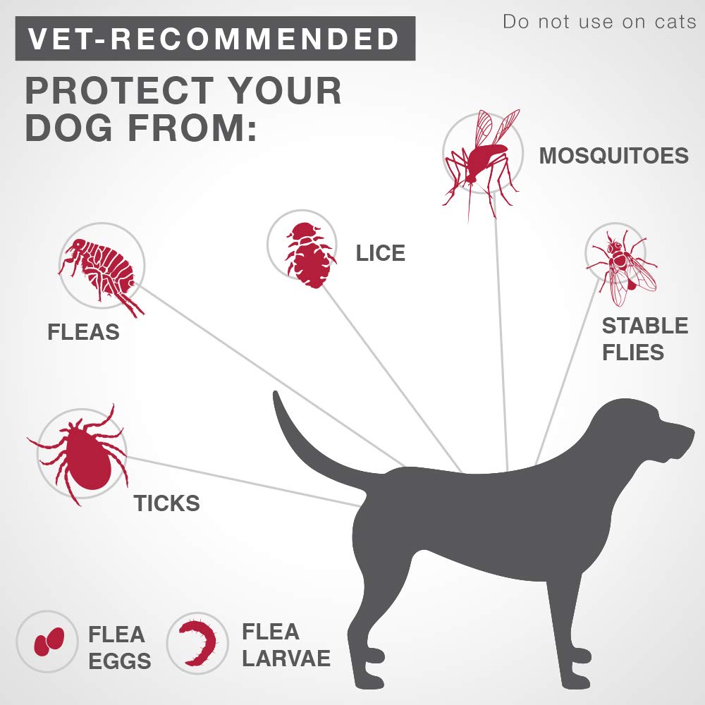 K9 Advantix II - Flea/Tick Prevention - Vet Recommended - Large Dog - 6-Pk 🍁 All In One Marketplace Canada
