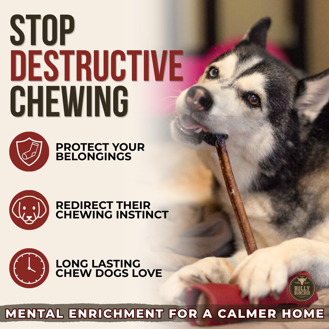 Bully Bunches Premium (12" Standard - 5 Pack) Odour-Free, Consistently Sized Bully Sticks for Medium Dogs - Long Lasting Oral Care Chews - All Natural Single Ingredient, Beef Dog Treat, No Rawhide 🍁 All In One Marketplace Canada