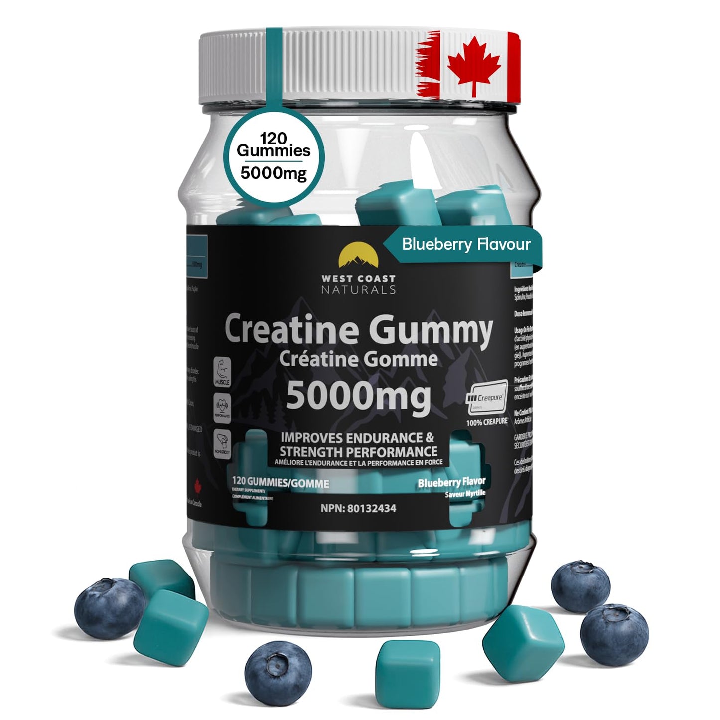 Creatine Monohydrate Gummies 5000 mg by West Coast Naturals – Blueberry Flavor, No Added Sugar, Chewable Supplement for Men and Women, Vegan – Kosher Certified – 120 Count 🍁 All In One Marketplace Canada