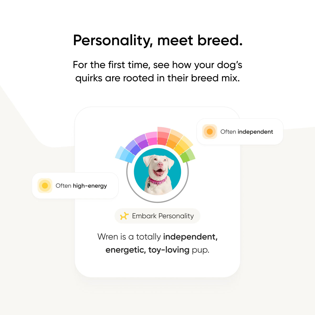 Embark Breed Identification Kit Most Accurate Dog DNA Test Test 350+ Dog Breeds Breed ID Kit with Ancestry & Family Tree 🍁 All In One Marketplace Canada