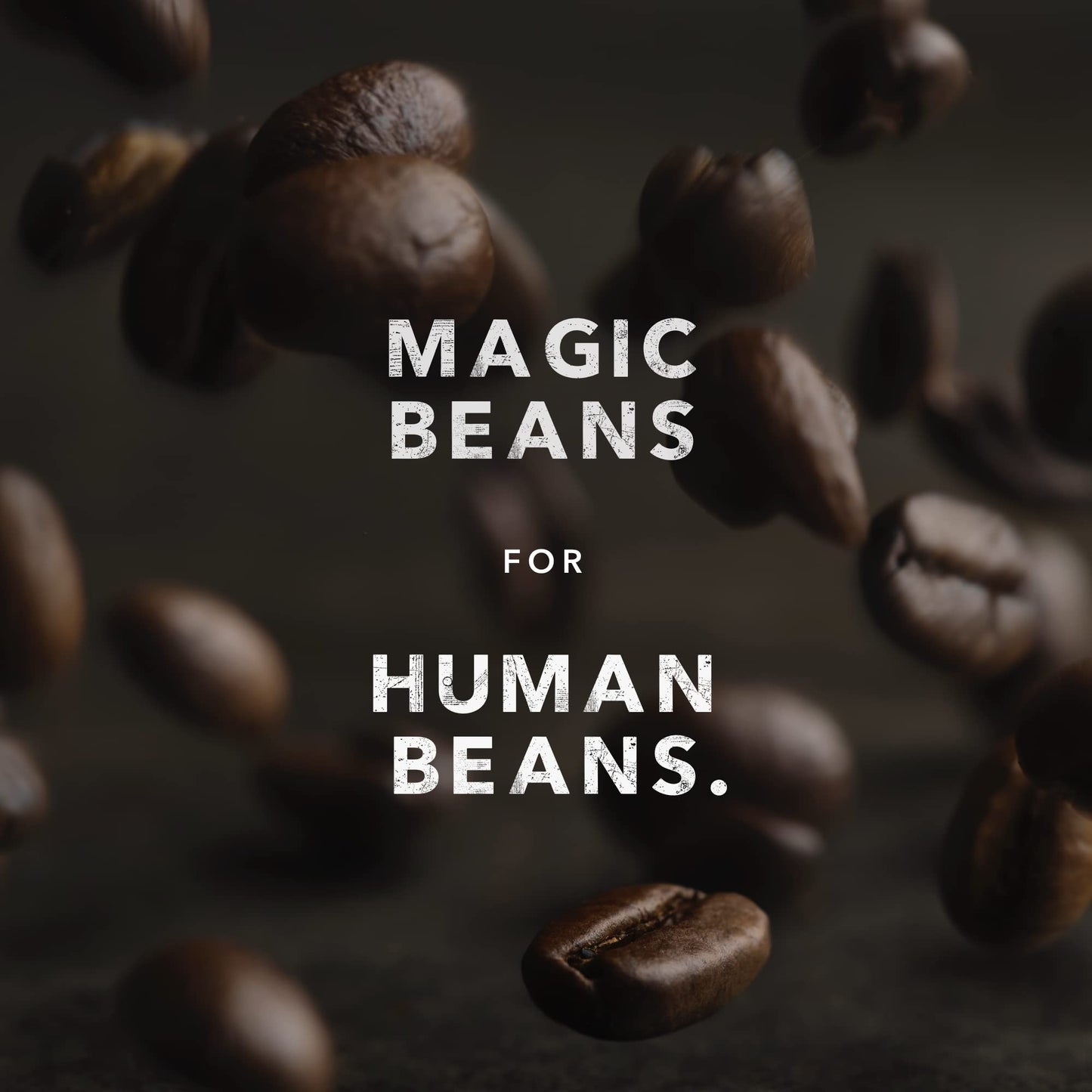 Kicking Horse Coffee - Three Sisters Blend, Ground 100% Arabica Coffee | Medium Roast | All Organic & Fairtrade | 708 g 🍁 All In One Marketplace Canada