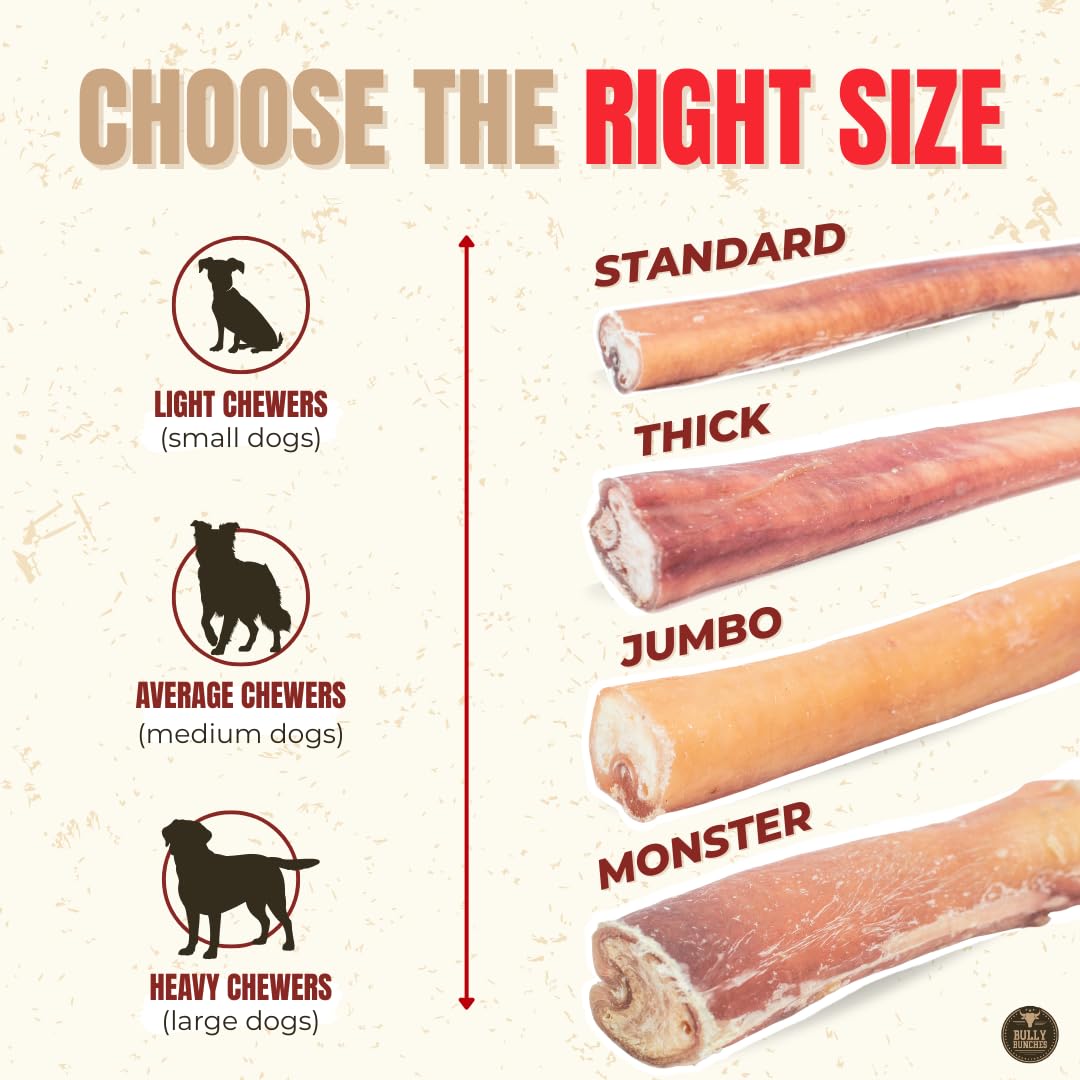 Bully Bunches Premium (12" Standard - 5 Pack) Odour-Free, Consistently Sized Bully Sticks for Medium Dogs - Long Lasting Oral Care Chews - All Natural Single Ingredient, Beef Dog Treat, No Rawhide 🍁 All In One Marketplace Canada