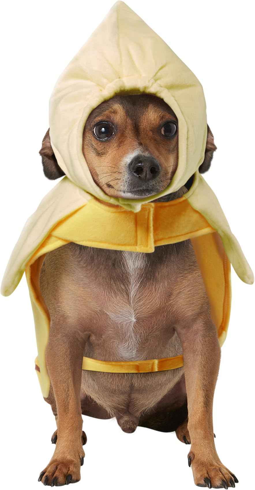 Rubies Costume Co Halloween Classics Collection Pet Costume, X-Large, Banana