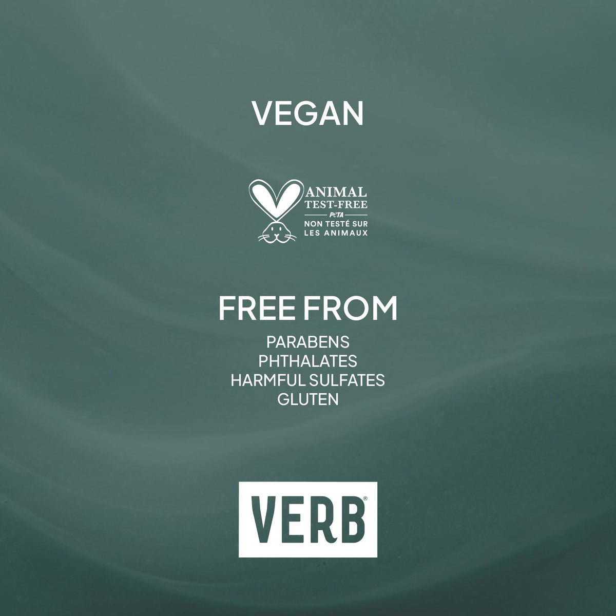 VERB Ghost Fine Hair Conditioner, 12 fl oz | Daily Weightless Moisture 🍁 All In One Marketplace Canada