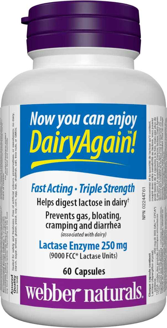Webber Naturals Dairy Again Lactase Enzyme, 60 Capsules 🍁 All In One Marketplace Canada