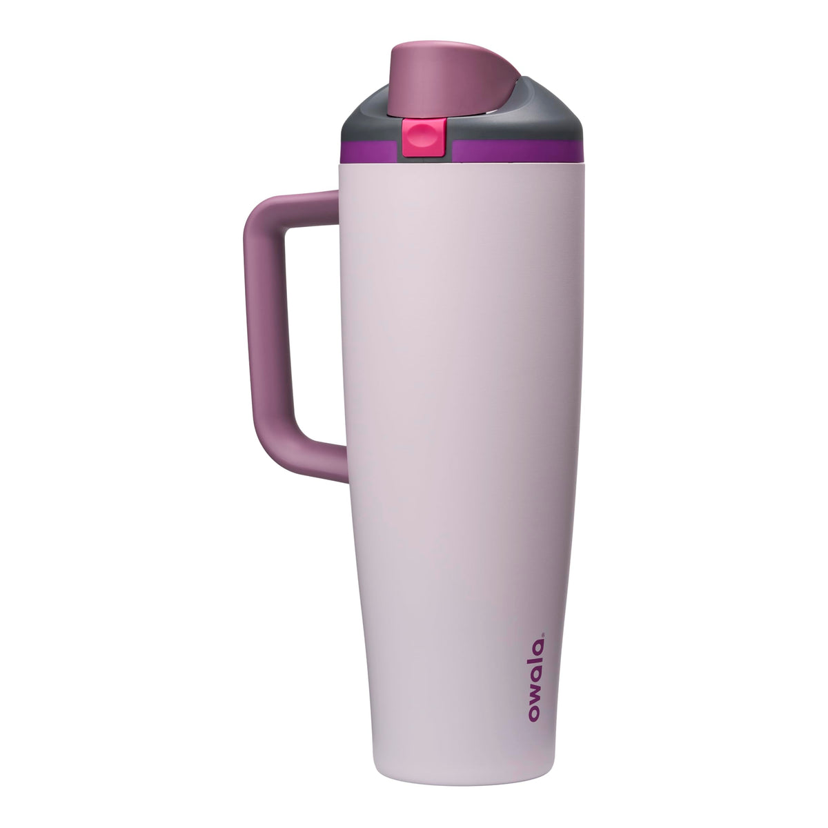 Owala FreeSip Tumbler Insulated Stainless Steel Water Bottle with Built-in Straw and Side Handle, for Travel, Work, School, and Sports, 40oz, BPA Free, Leak Proof, Dreamy Field 🍁 All In One Marketplace Canada