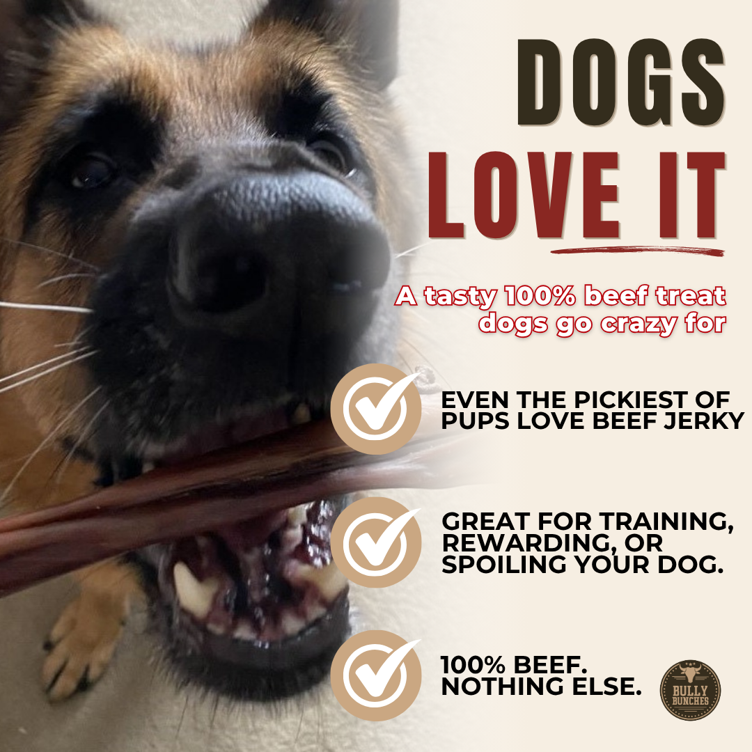 6 Inch Beef Jerky Stick