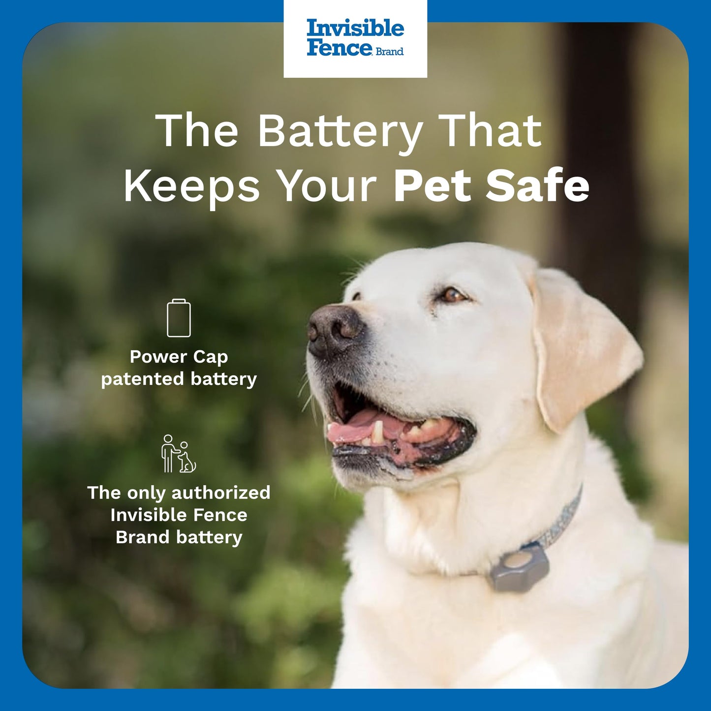 INVISIBLE FENCE Brand Power Cap Batteries for Microlite and Microlite Plus Computer Collar Units – 2-Pack – Also Compatible for MaxDog and MaxDog Plus Invisible Fence Dog Collars 🍁 All In One Marketplace Canada