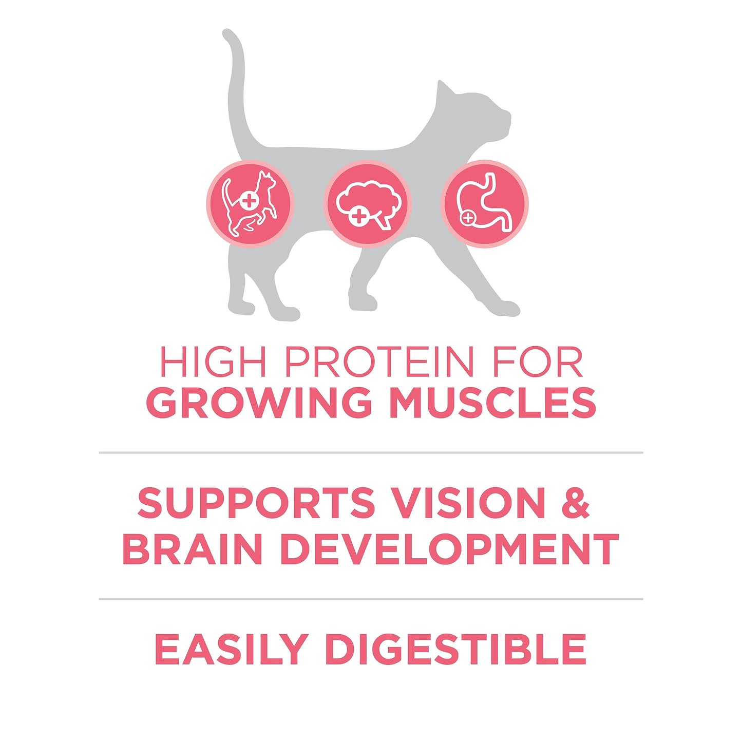Purina ONE +Plus Dry Kitten Food, Healthy Kitten with Chicken 3kg 🍁 All In One Marketplace Canada