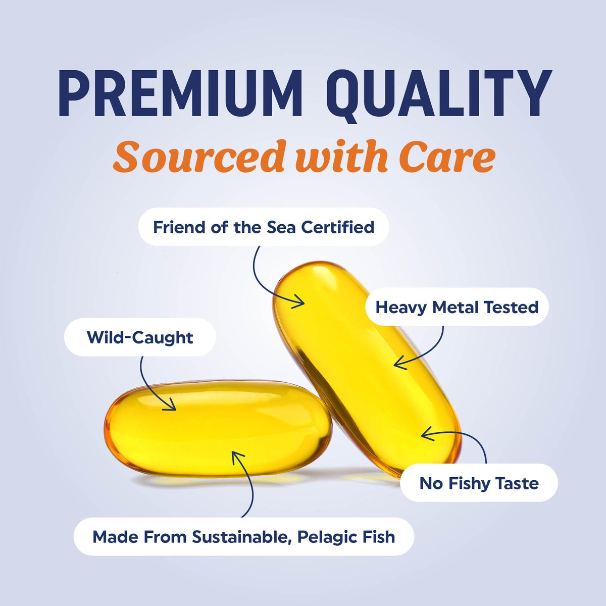 Triple Strength Omega 3 Fish Oil 1200 mg | EPA & DHA | Wild Caught, Sustainably Sourced Omega-3 Fatty Acids | Premium Burpless Fish Oil Supplements | Clean Label Certified, Third-Party Tested | 30 Ct 🍁 All In One Marketplace Canada