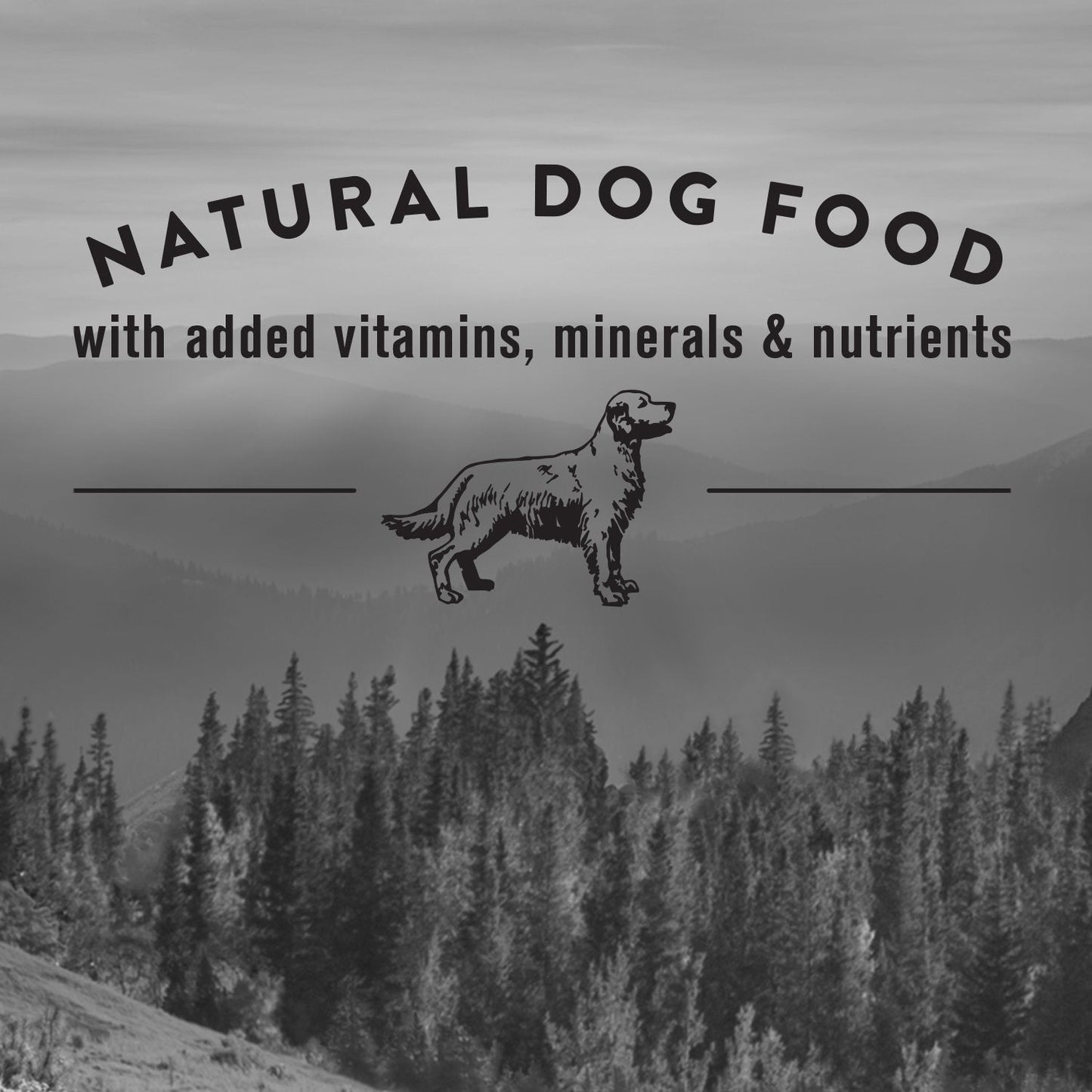 Nature's Recipe Adult Grain Free Natural Dry Dog Food Lamb, Sweet Potato & Pumpkin Recipe 10.8 kg (Pack of 1) 🍁 All In One Marketplace Canada