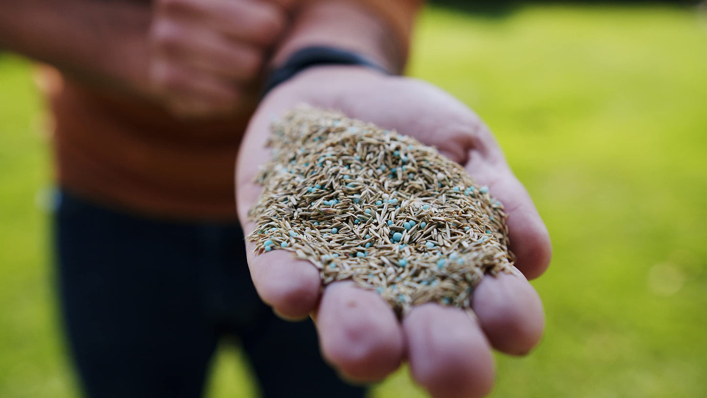 Scotts Turf Builder Quick + Thick Grass Seed (Dense Shade) 1.2kg (12675) 🍁 All In One Marketplace Canada