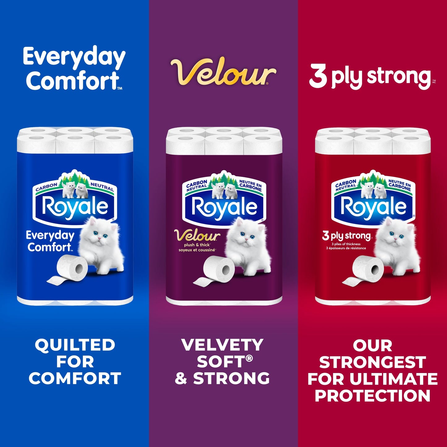 Royale 3-Ply Strong Toilet Paper, 48 Equal 96 Rolls, 165 Bathroom Tissues per roll 🍁 All In One Marketplace Canada