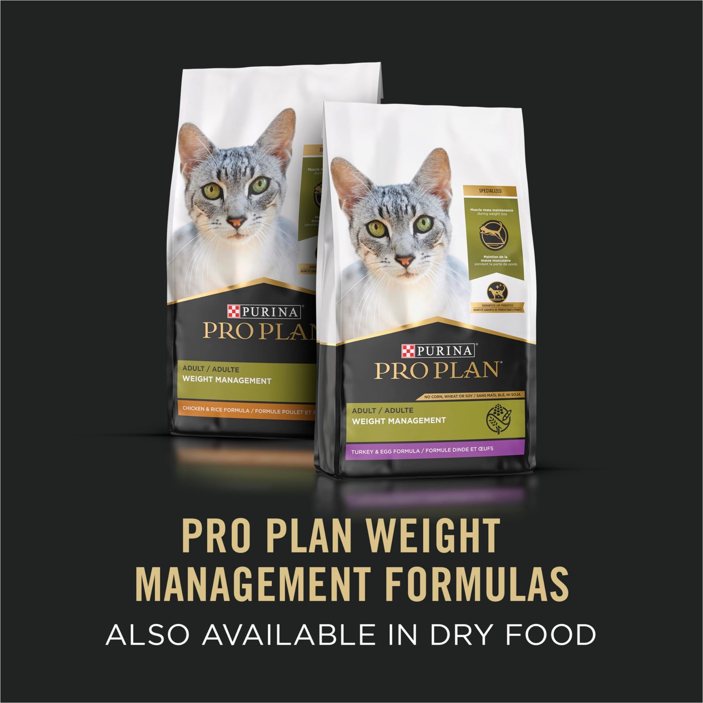 Purina Pro Plan Wet Cat Food, Focus, Adult Weight Management Turkey and Rice Entre, 3-Ounce Can, Pack of 24 🍁 All In One Marketplace Canada