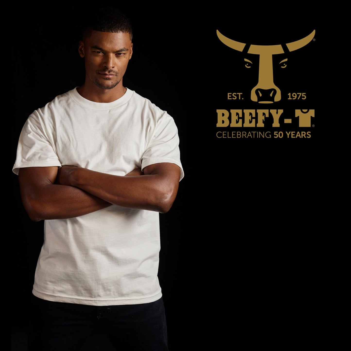 Hanes Size Men's Beefy Short Sleeve Tee Value Pack (2-Pack), Black, X-Large/Tall 🍁 All In One Marketplace Canada