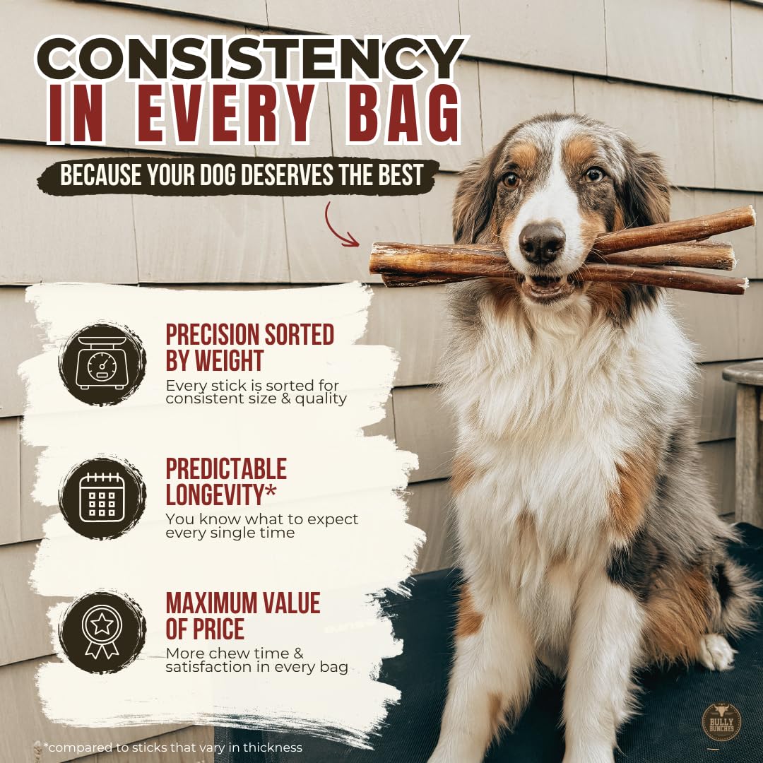 Bully Bunches Premium (12" Standard - 5 Pack) Odour-Free, Consistently Sized Bully Sticks for Medium Dogs - Long Lasting Oral Care Chews - All Natural Single Ingredient, Beef Dog Treat, No Rawhide 🍁 All In One Marketplace Canada